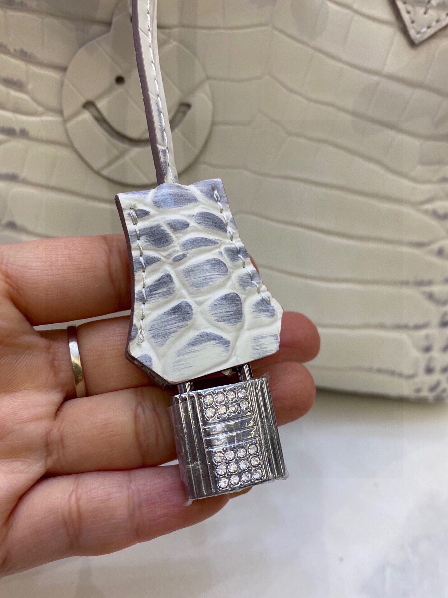 HE* new color matching platinum bag