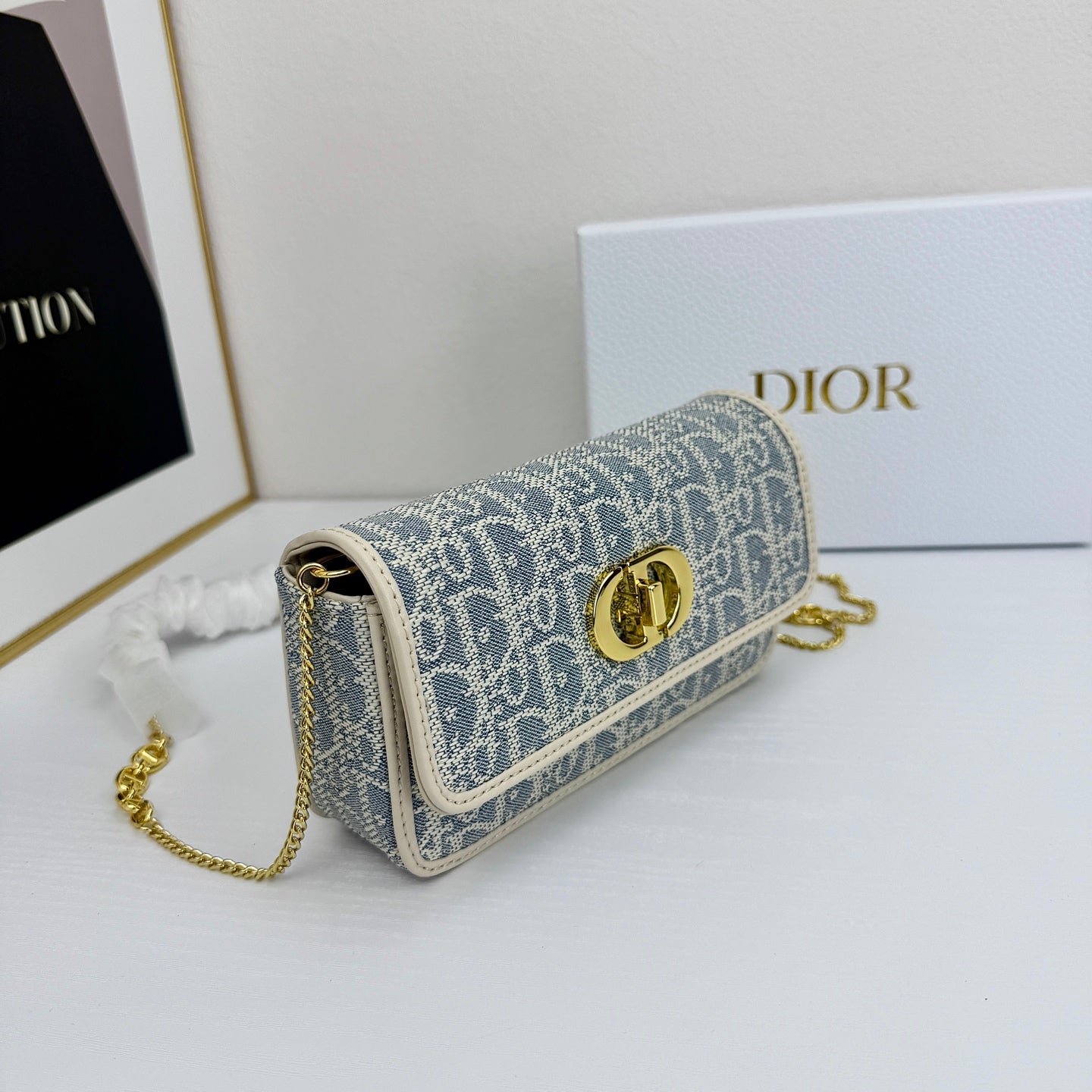 DIO* 25SS Montaigne bag