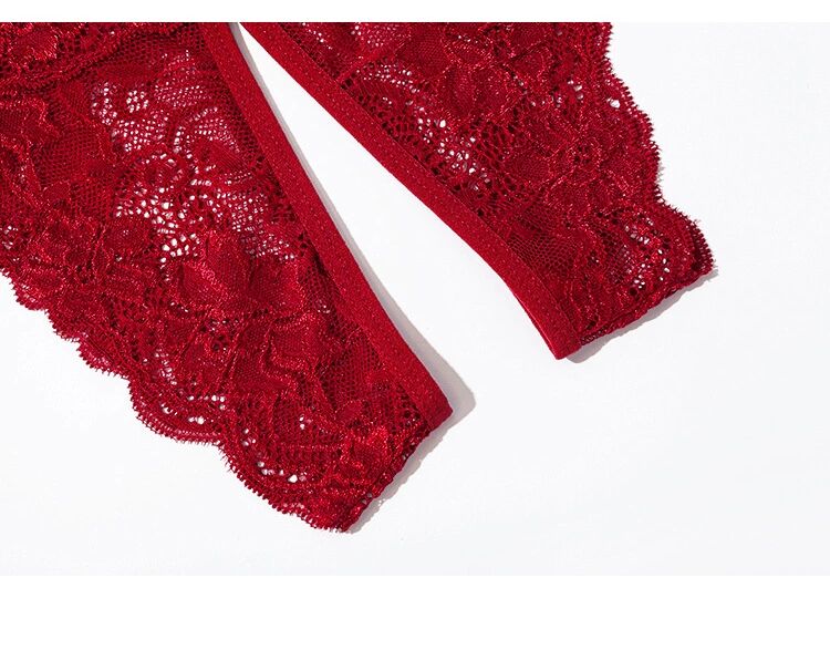Women’s lace briefs sexy panties