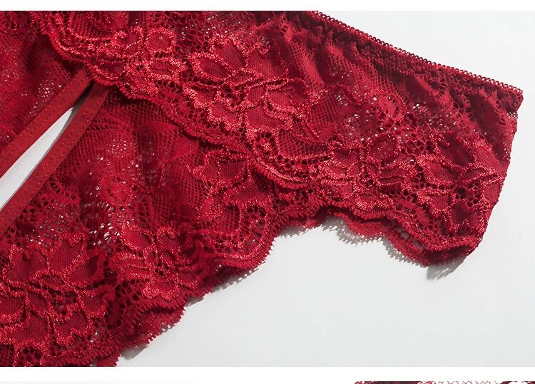 Women’s lace briefs sexy panties