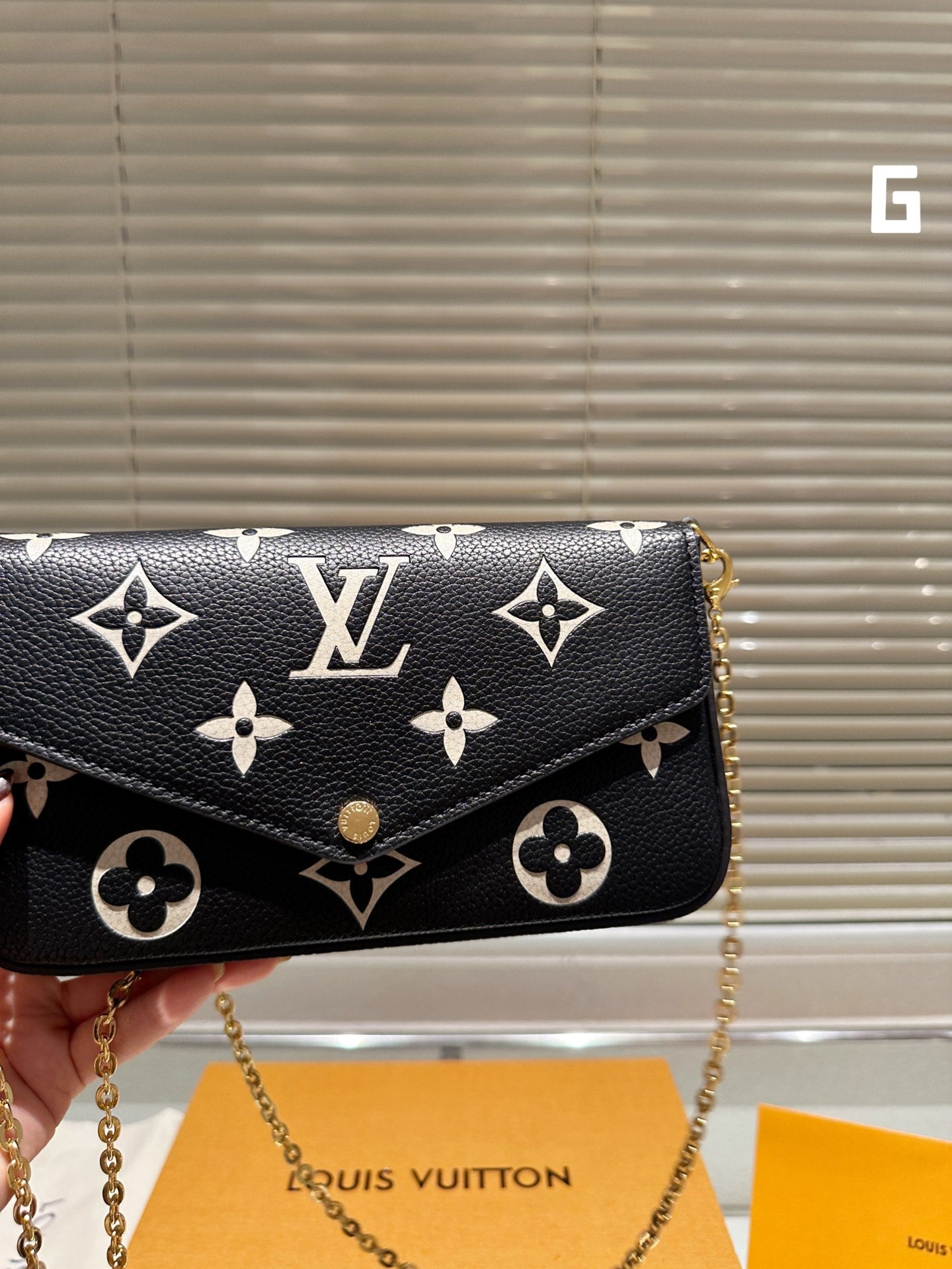 LV/Louis Vuitton classic bag