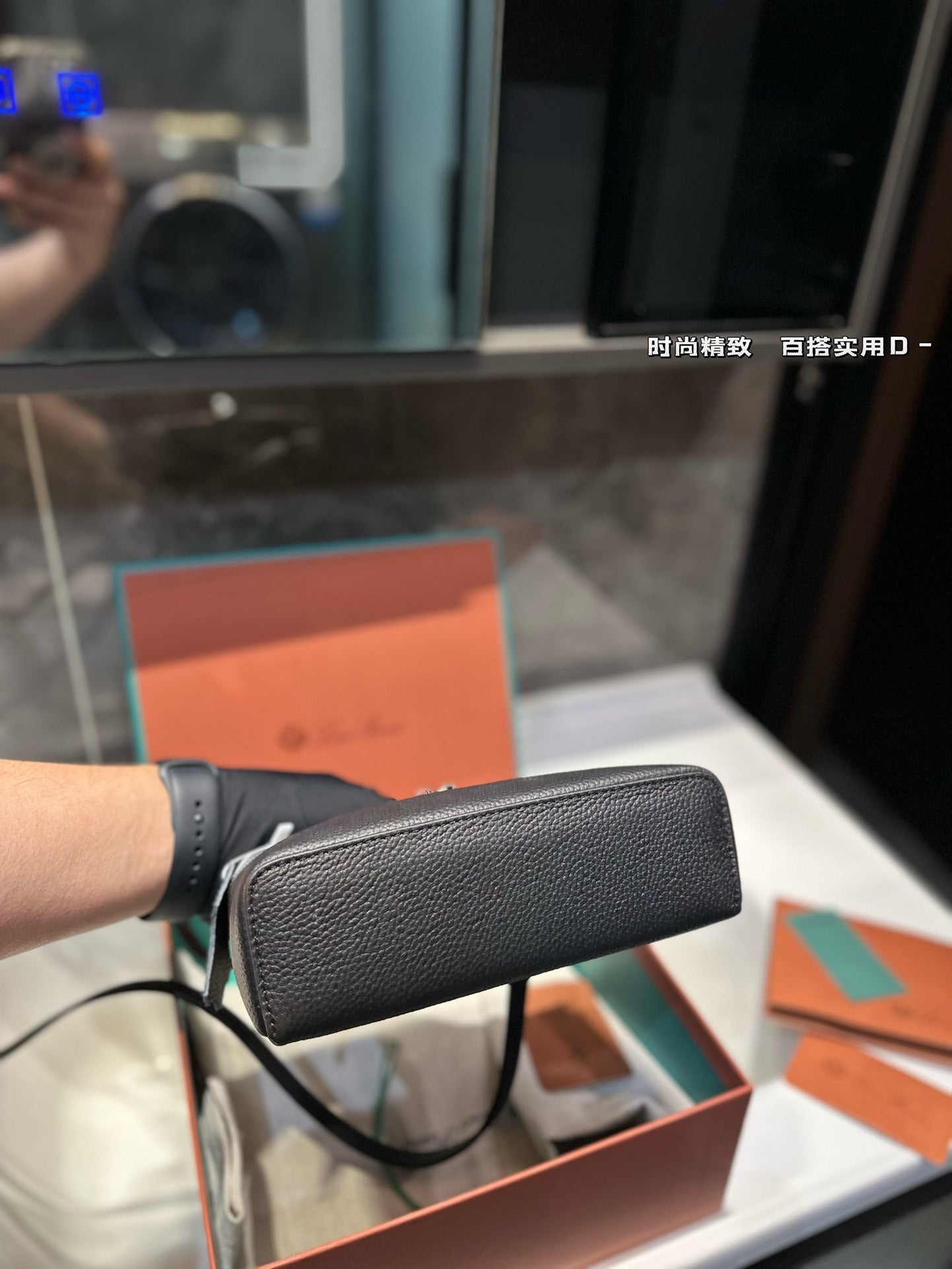 Loro Pia**2024 shoulder bag (multiple colors)