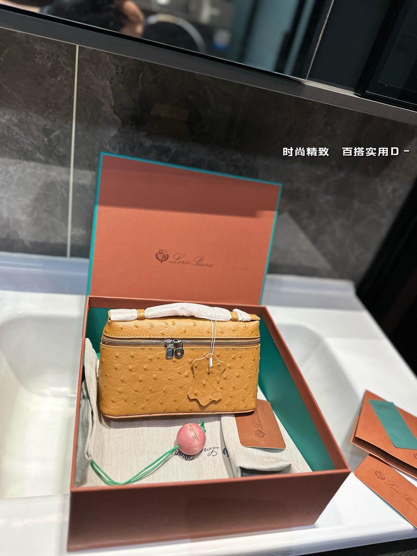 Loro Pia**2024 lunch box bag (multiple colors)