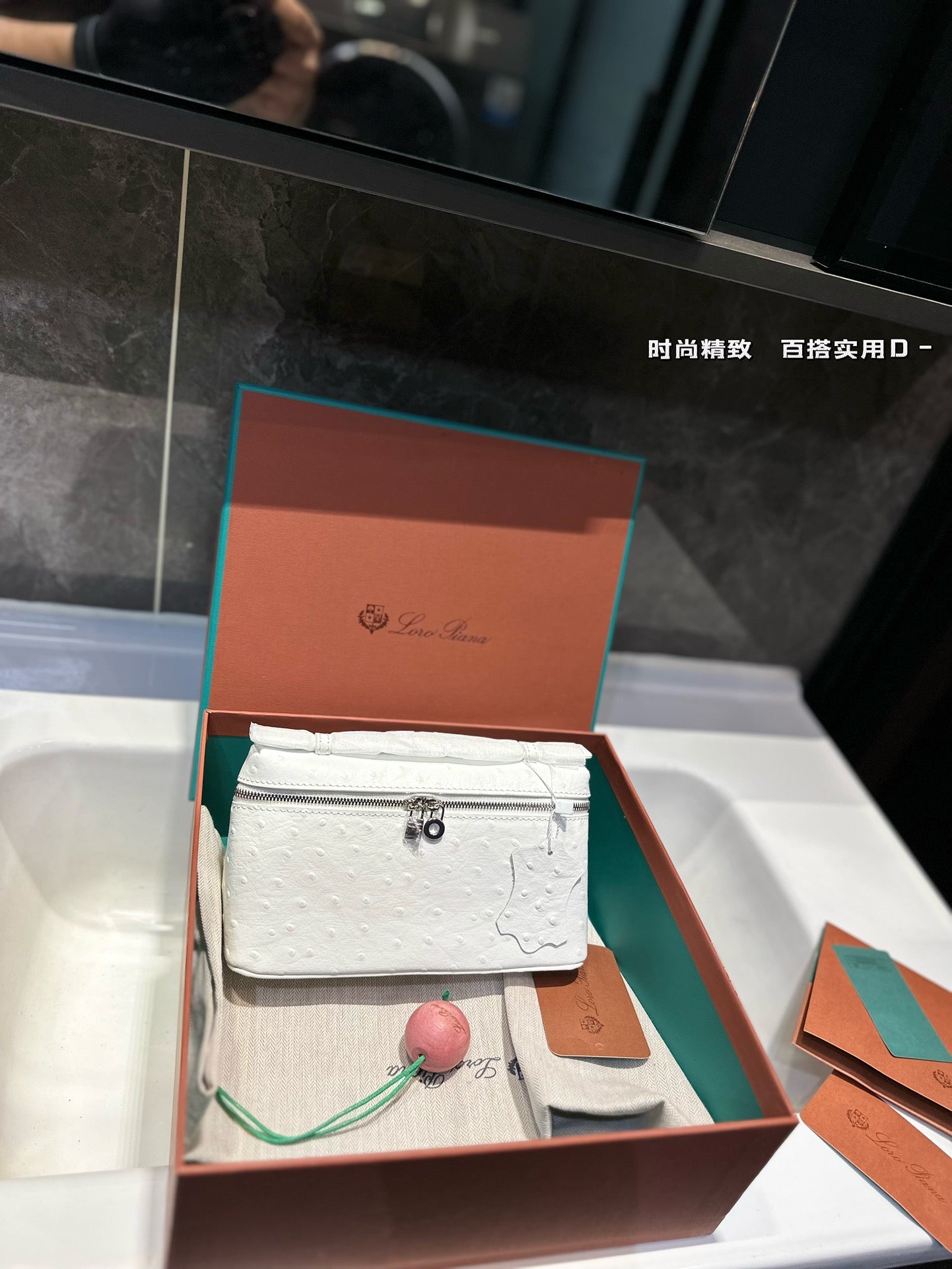 Loro Pia**2024 lunch box bag (multiple colors)