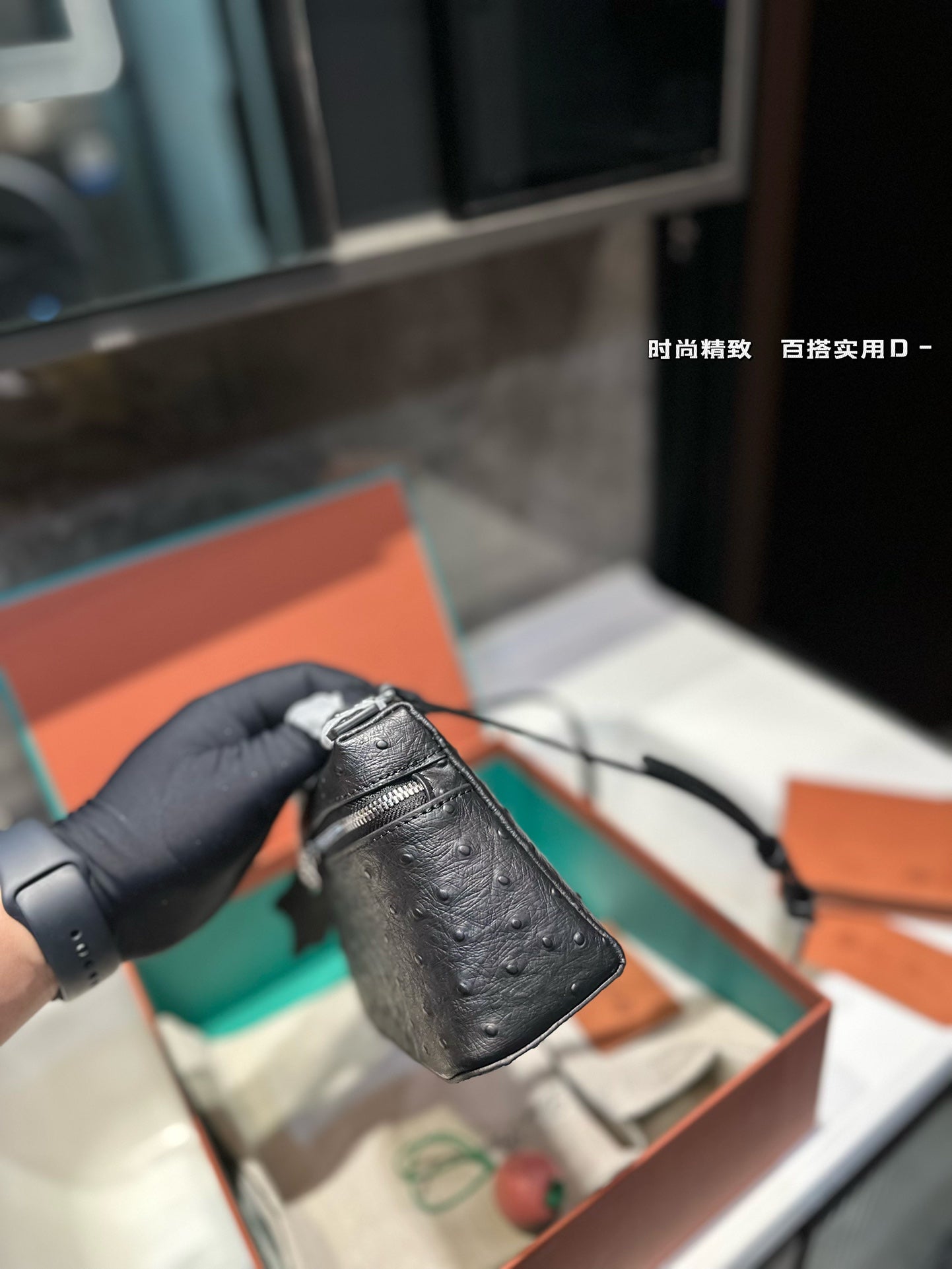 Loro Pia**2024 lunch box bag (multiple colors)