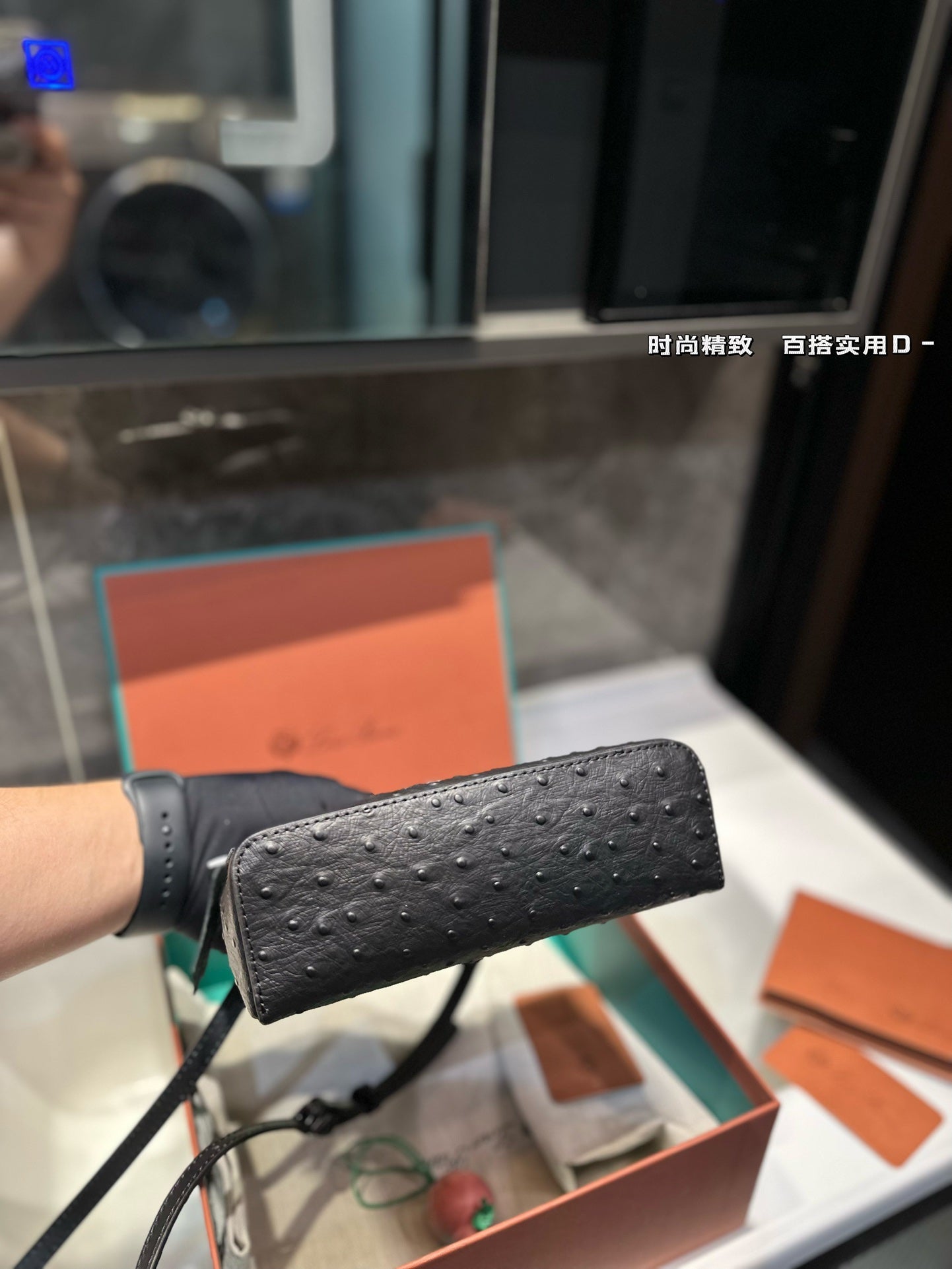 Loro Pia**2024 lunch box bag (multiple colors)