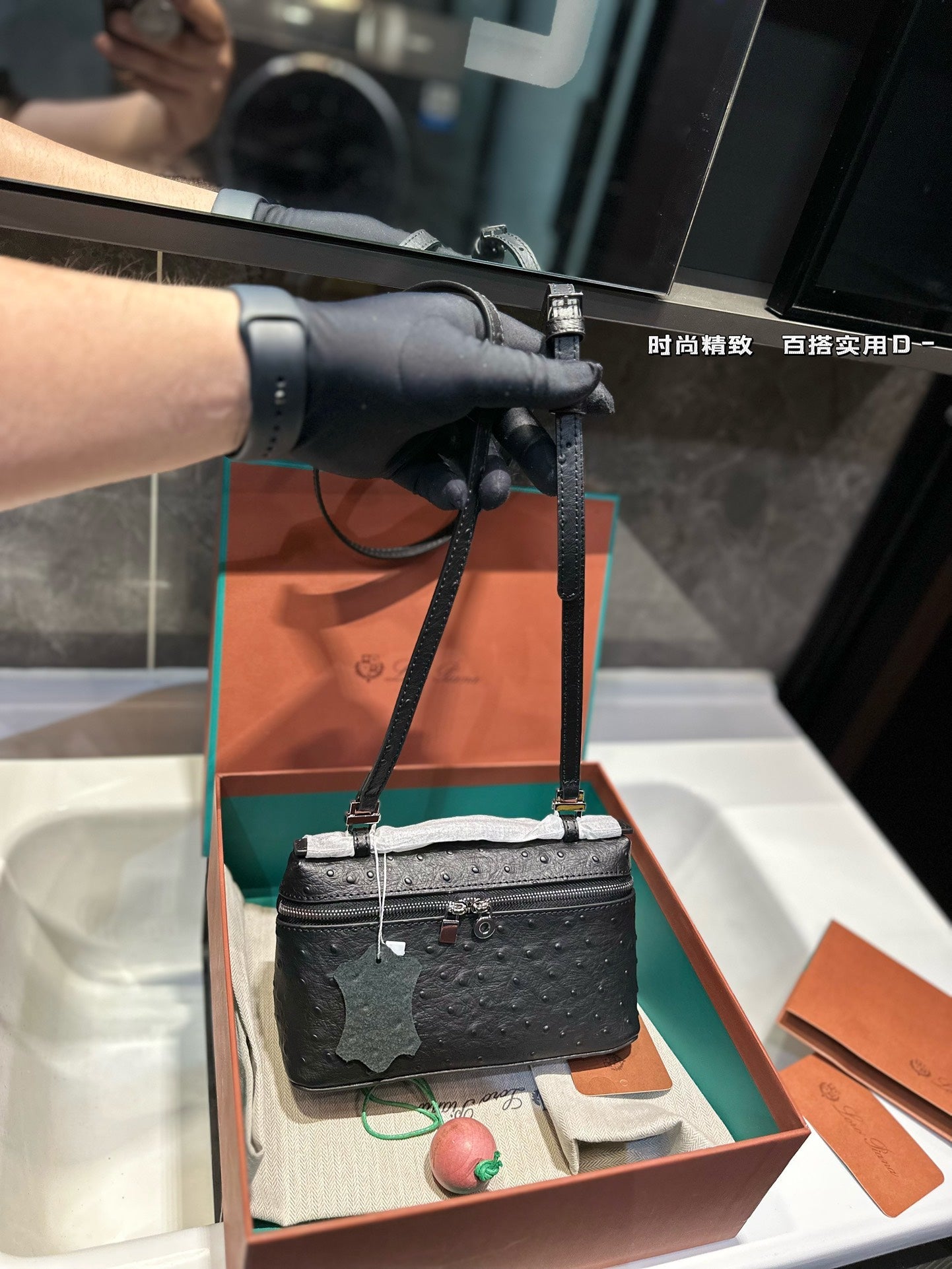 Loro Pia**2024 lunch box bag (multiple colors)